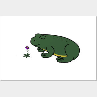 Peaceful Frog Posters and Art